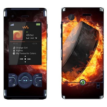   «  »   Sony Ericsson W595