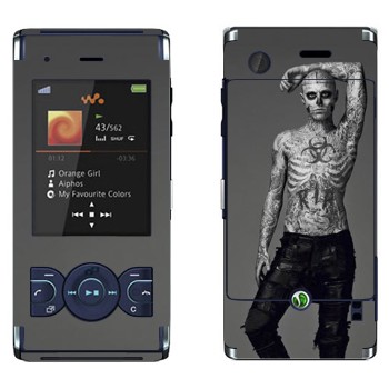 Sony Ericsson W595