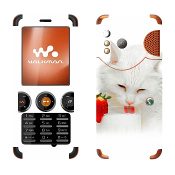   «   »   Sony Ericsson W610i