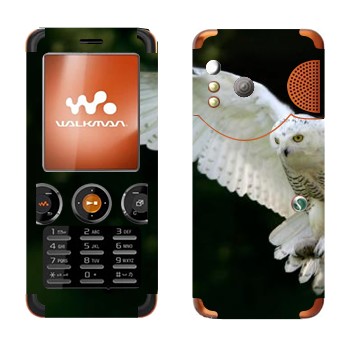 Sony Ericsson W610i