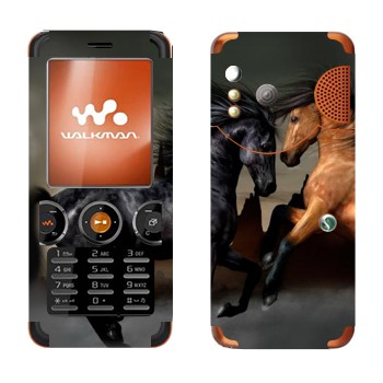 Sony Ericsson W610i