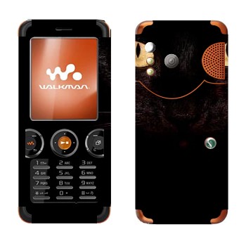 Sony Ericsson W610i