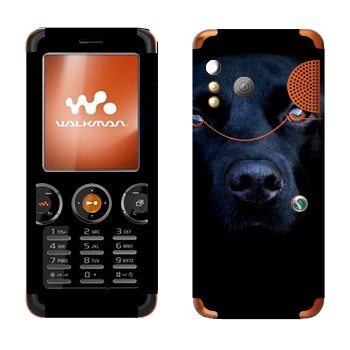   « »   Sony Ericsson W610i