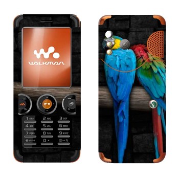 Sony Ericsson W610i