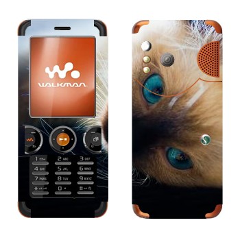   « »   Sony Ericsson W610i