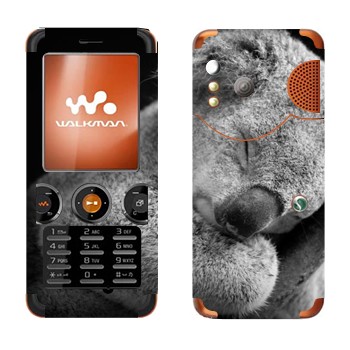 Sony Ericsson W610i