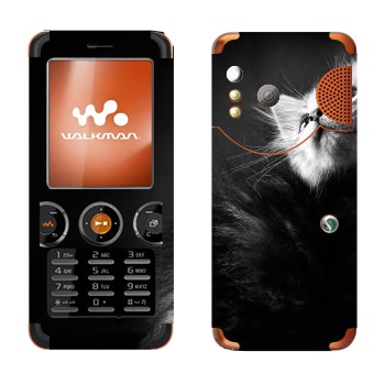 Sony Ericsson W610i