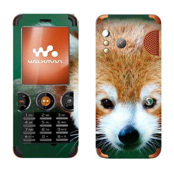   « »   Sony Ericsson W610i