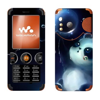 Sony Ericsson W610i