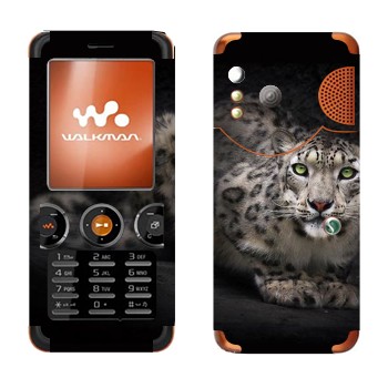   « »   Sony Ericsson W610i