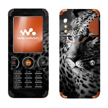 Sony Ericsson W610i