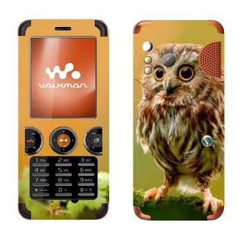   «  »   Sony Ericsson W610i