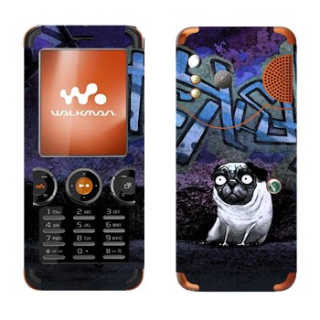 Sony Ericsson W610i