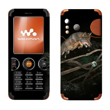   «  »   Sony Ericsson W610i