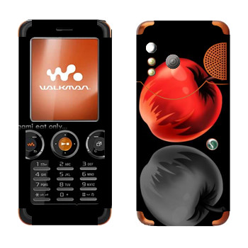   «  - »   Sony Ericsson W610i