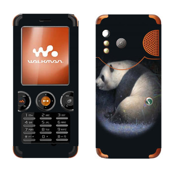   «»   Sony Ericsson W610i