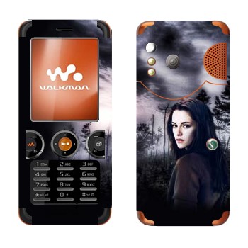   «   - »   Sony Ericsson W610i