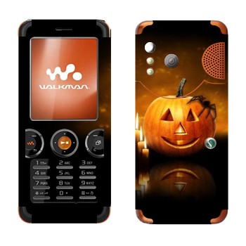   «  »   Sony Ericsson W610i