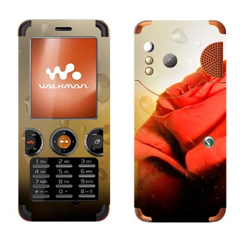   « »   Sony Ericsson W610i