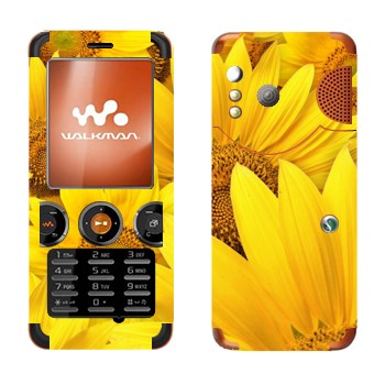   « »   Sony Ericsson W610i