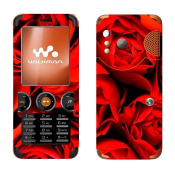   « »   Sony Ericsson W610i