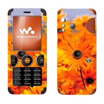 Sony Ericsson W610i