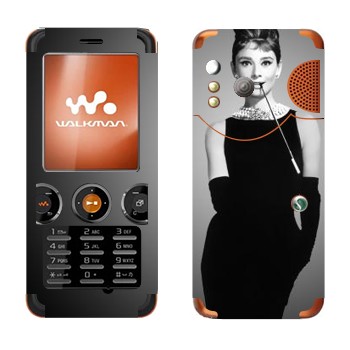  « »   Sony Ericsson W610i