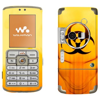   «  »   Sony Ericsson W700