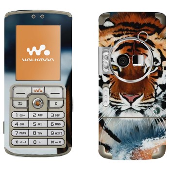   « »   Sony Ericsson W700