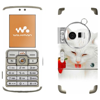   «   »   Sony Ericsson W700