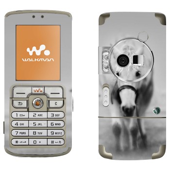   «   »   Sony Ericsson W700