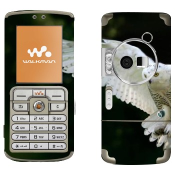 Sony Ericsson W700