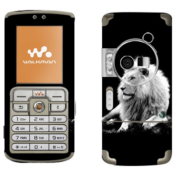 Sony Ericsson W700