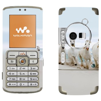 Sony Ericsson W700