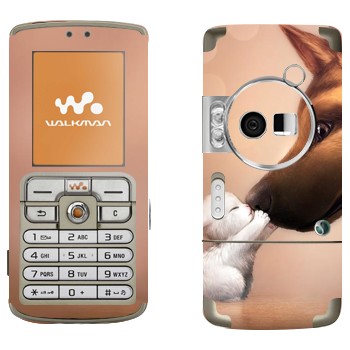   «   »   Sony Ericsson W700