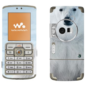 Sony Ericsson W700