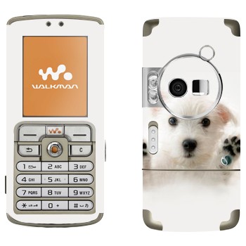   « »   Sony Ericsson W700