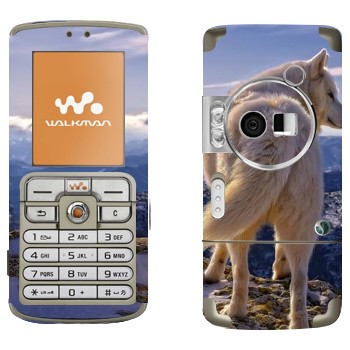 Sony Ericsson W700