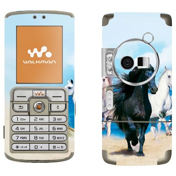   «   »   Sony Ericsson W700