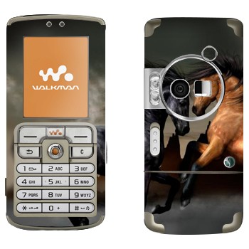 Sony Ericsson W700