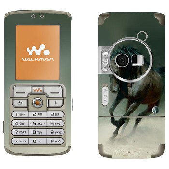 Sony Ericsson W700