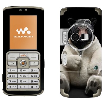 Sony Ericsson W700