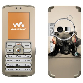   «   »   Sony Ericsson W700