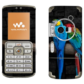 Sony Ericsson W700