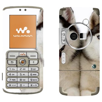 Sony Ericsson W700