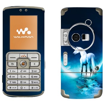   «»   Sony Ericsson W700