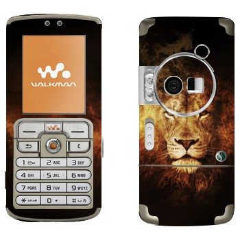 Sony Ericsson W700