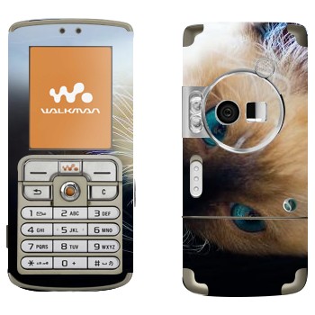   « »   Sony Ericsson W700