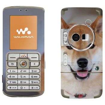   «- »   Sony Ericsson W700