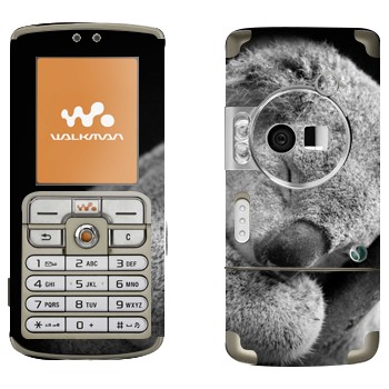   « »   Sony Ericsson W700